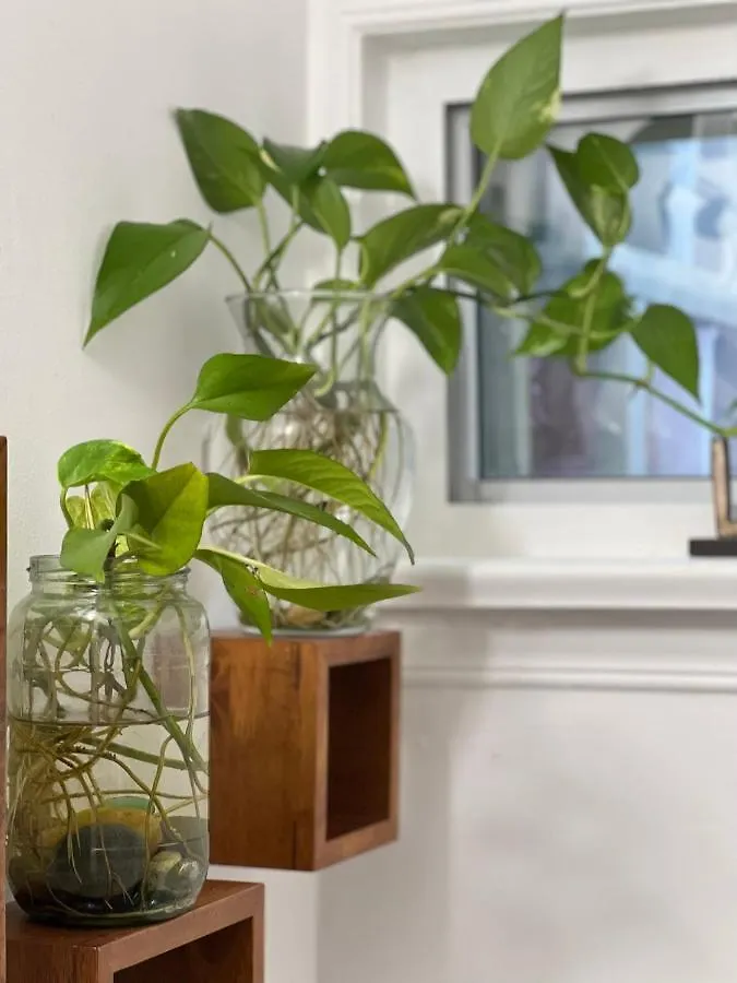 Toronto Bed & Breakfast - Free Parking